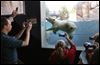 Toledo Zoo's polar bear cub greets the public
