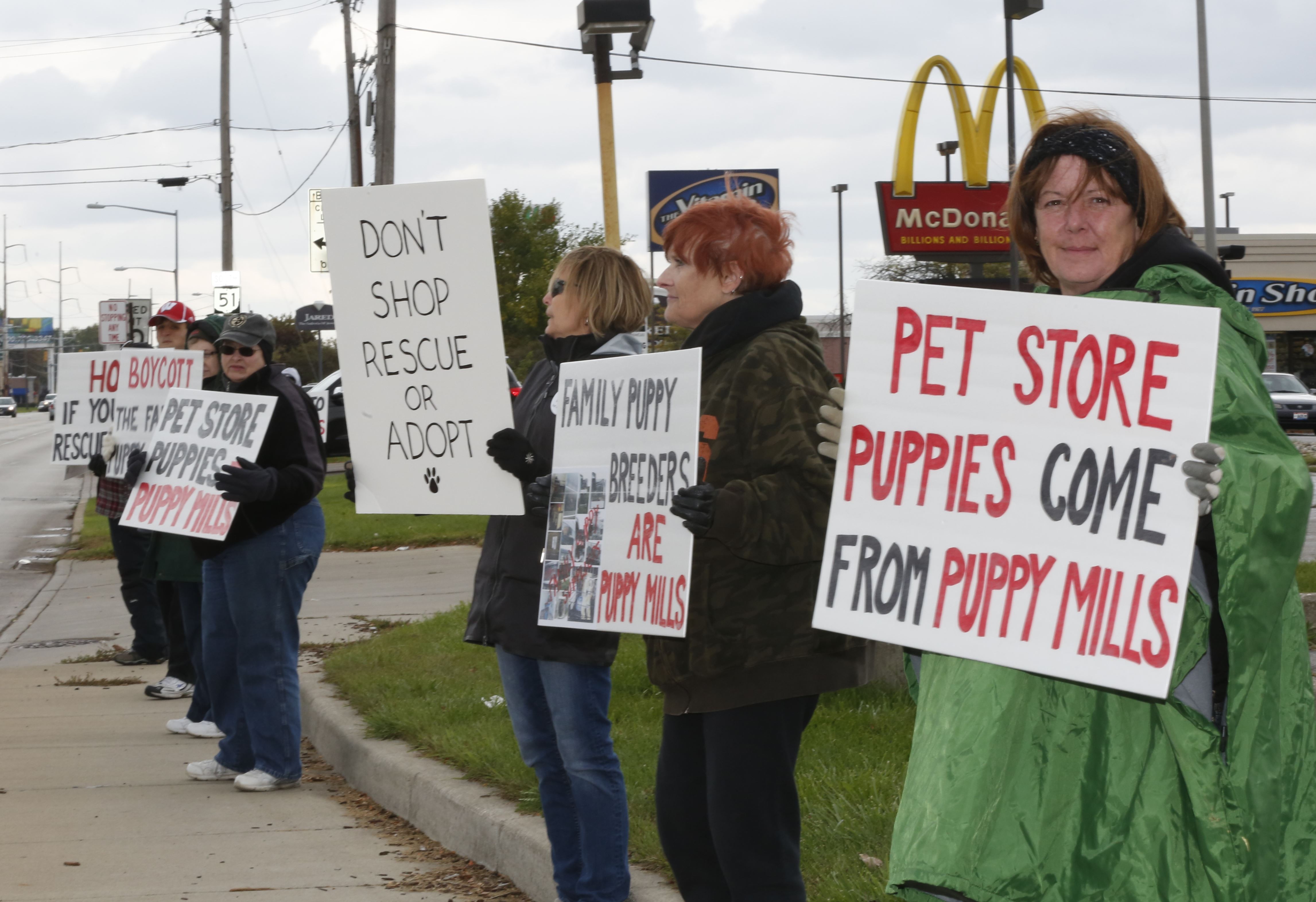 State bill would negate Toledo’s puppymill law The Blade