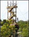 Zoo-goers can take ride on the wild side