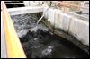 Cost climbs for Collins Park Water Treatment Plant