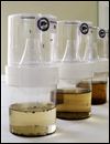 Mosquito control an important step
