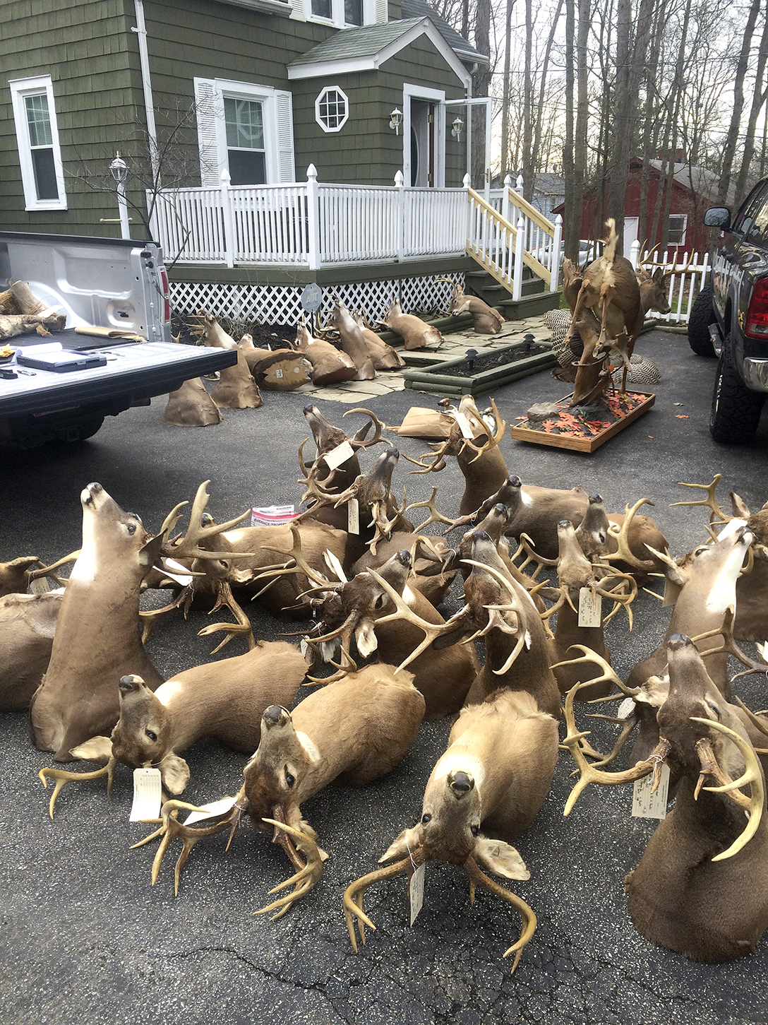 Area residents charged in huge wildlife case The Blade