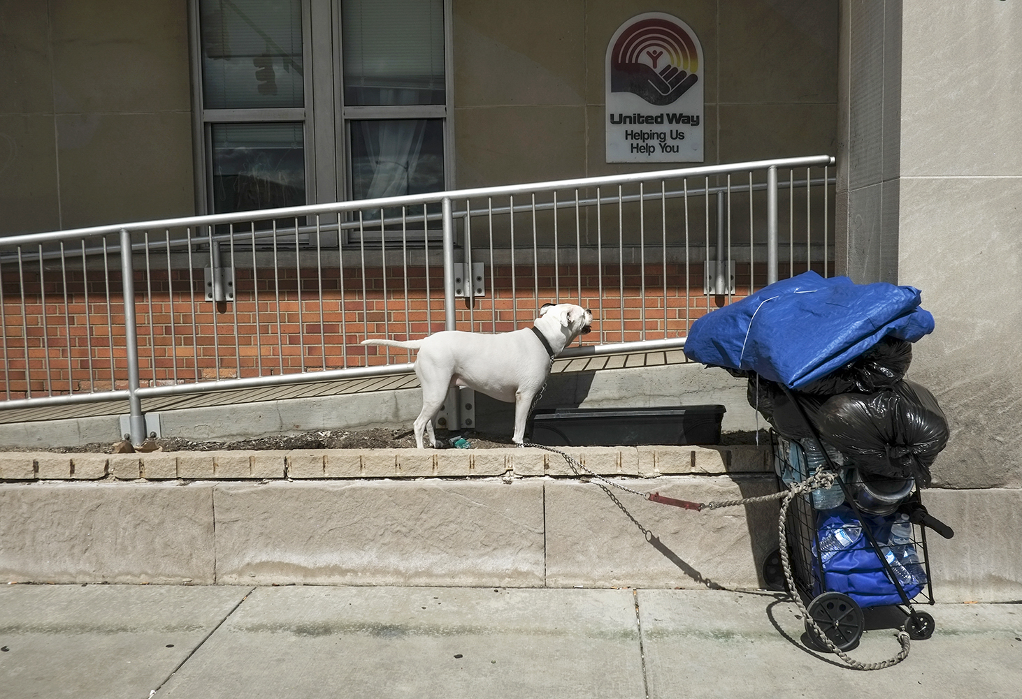 Pets rare among Toledo’s homeless The Blade