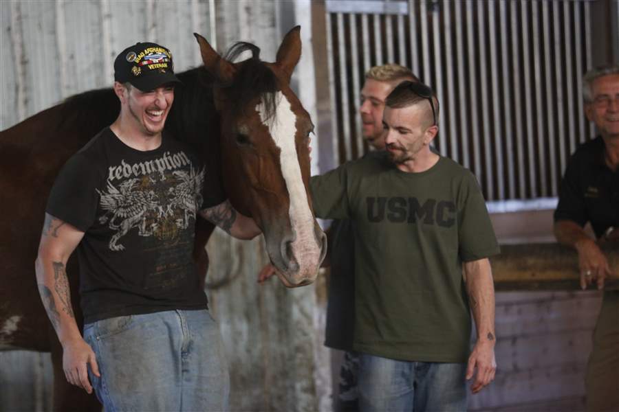 Veterans retake the reins with therapy horses The Blade