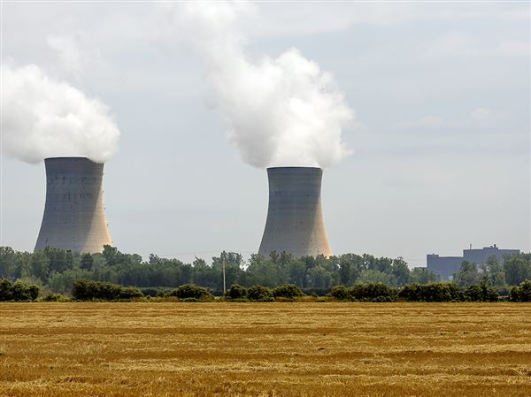 Anti-nuclear group seeks to halt Fermi 3 plant