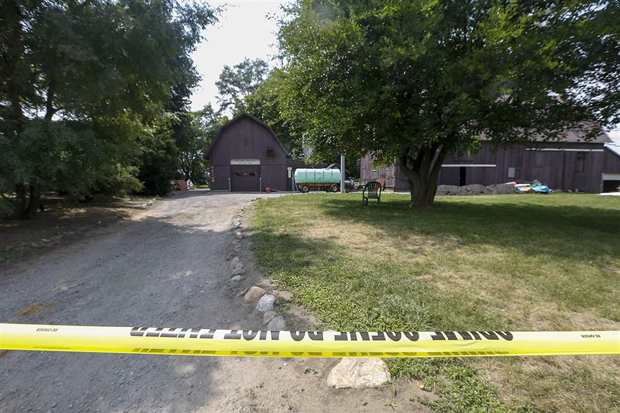 High corn now symbol of Sierah Joughin tragedy The Blade