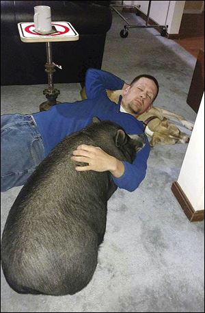 Vinny the pig, Zelda the dog and Kyle Rothfus of Providence Township take a nap together.  Mr. Rothfus says while Vinny can be affectionate, he can also be pushy, grumpy, and stubborn.