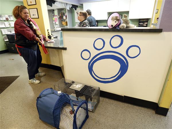 Advocate: Current Ohio law a hurdle for spay/neuter funding