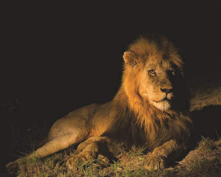 Nat Geo WILD video winners’ prize was an incredible experience - The Blade