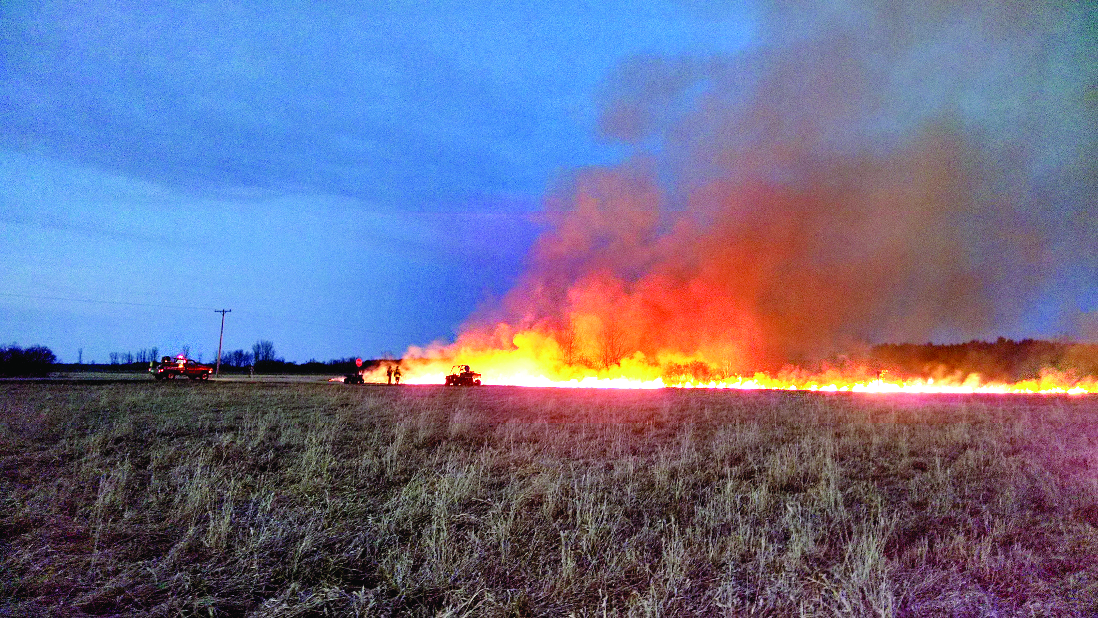 Friendly Fire Controlled Burns Help Rejuvenate Native Plants And 