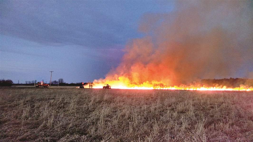 Friendly Fire Controlled Burns Help Rejuvenate Native Plants And 