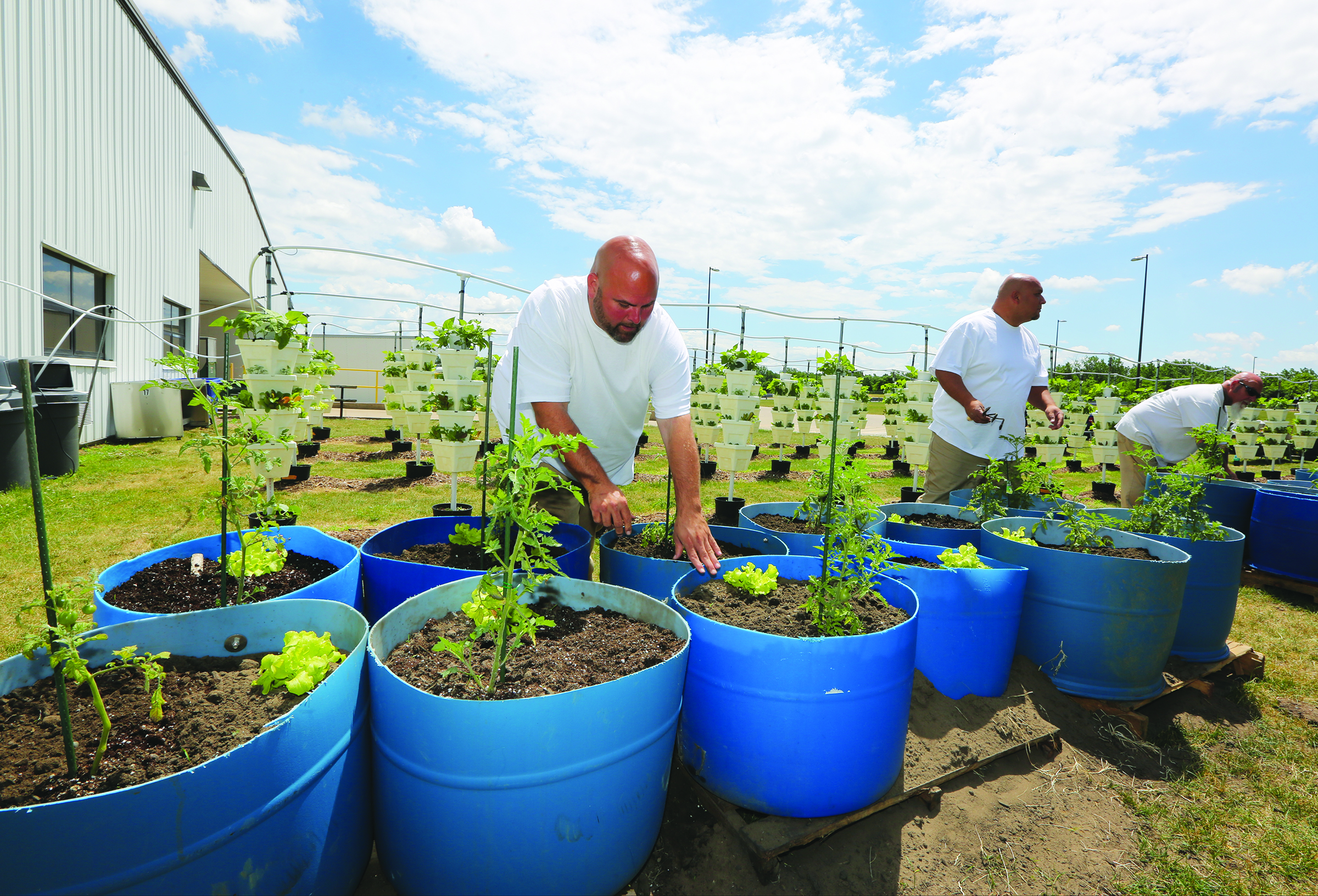 Personal growth: Prison garden allows inmates to give back to the