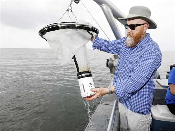 Noted UT algae researcher to take helm of Lake Erie Center