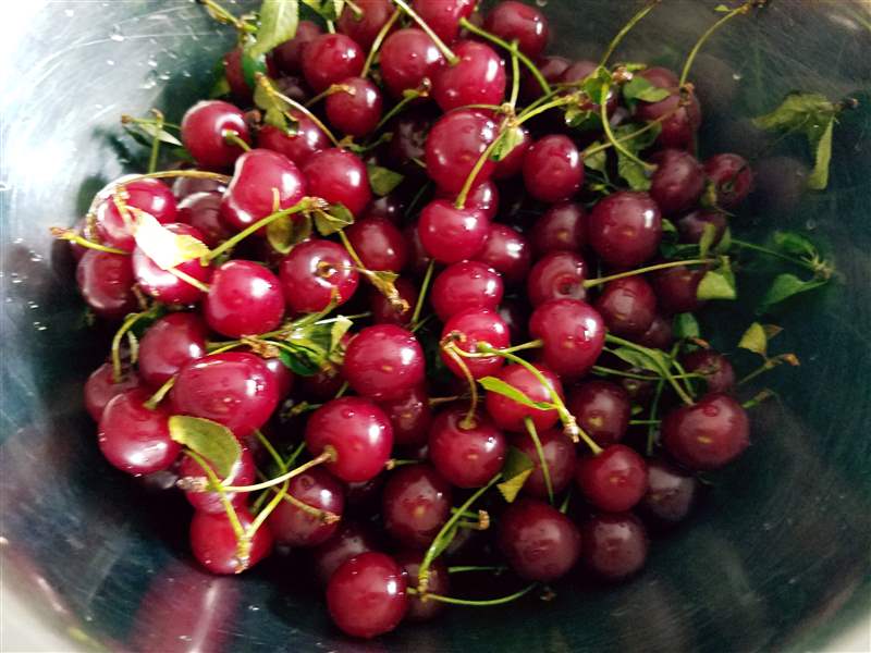 Toledo market shopping leads to delicious culinary ideas The Blade