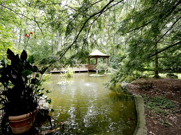 Botanical Garden in better hands