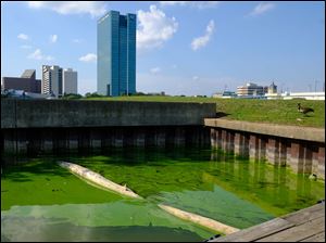 An algae bloom from Lake Erie moves into a boat basin in September.
