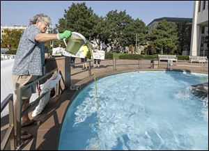 Mike Ferner dumps algae tainted Lake Erie water and dead perch into the fountain as members of Advocates for a Clean Lake Erie protest at One Government Center on Friday.