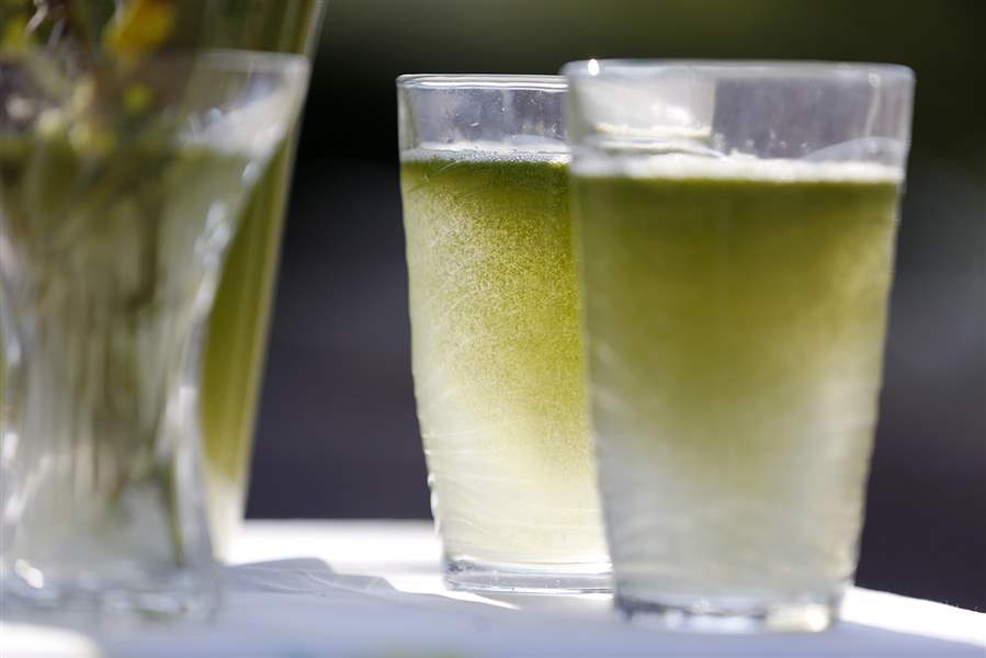 Algae bloom stretches to Canada, but Toledo water safe to drink The Blade