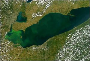 A satellite photo of Lake Erie algae taken on Sept. 26, 2017.