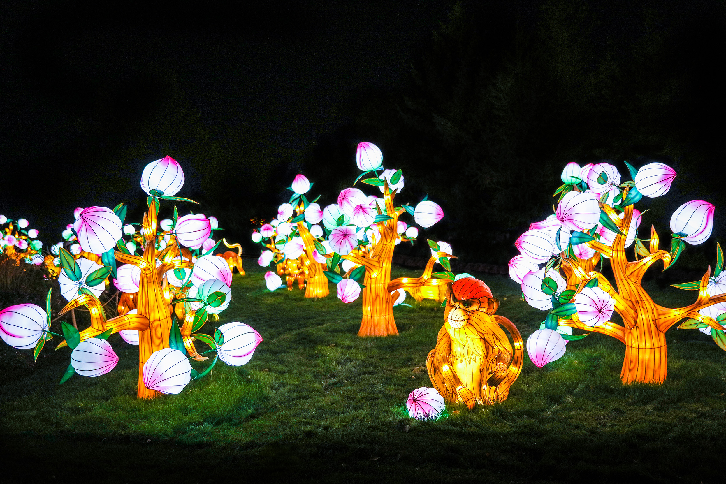 Luminous Nights 500 Chinese lanterns mark the start of fall at Toledo