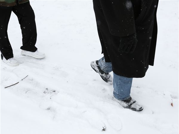 Toledo wakes up to snow, more on the way