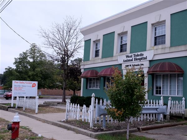 Lawmaker seeks pause to fix medical marijuana flaws