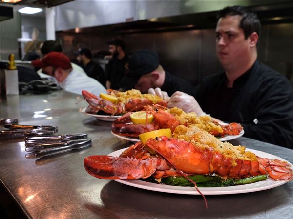 Talented chefs face off at Top Knife Competition