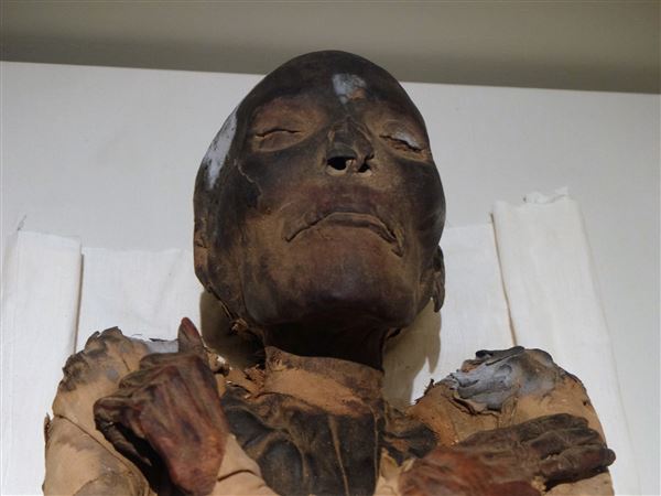 Museum exhibit probes Egyptian culture