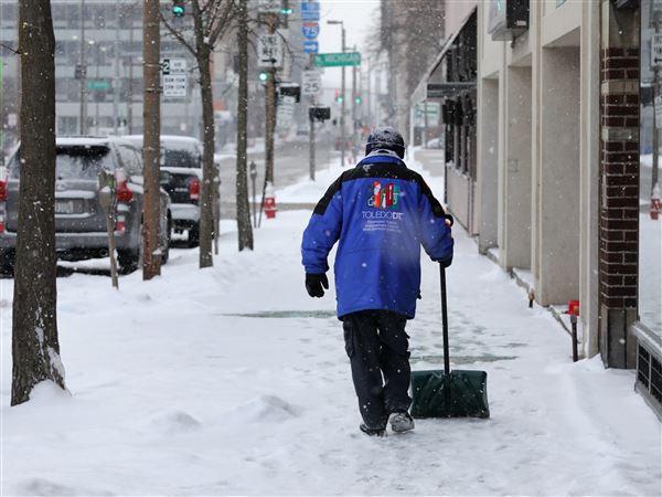 Lucas County, southeast Michigan under winter storm warnings