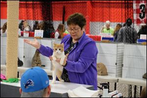 Judge Adriana Kajon, of Albuquerque, New Mexico, shows how friendly and calm Louie is. Louie, a six month-old kitten, was one of the adoptable cats and kittens brought by DeeDee's Feline Angels and Friends of Fremont, Ohio. 
