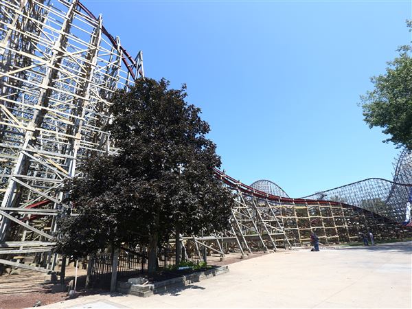 Cedar Fair reports 21 percent profit jump
