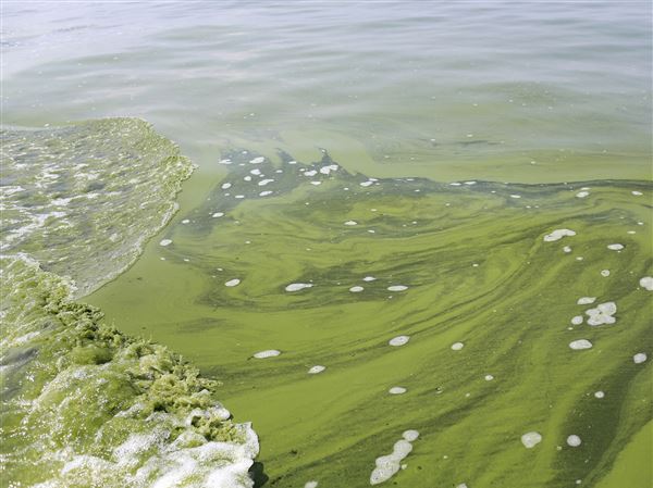 Impairment designation a welcome victory for Lake Erie