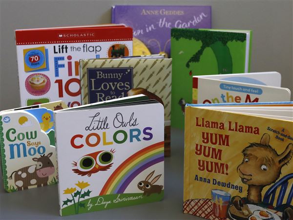 Evergreen library puts levy on ballot