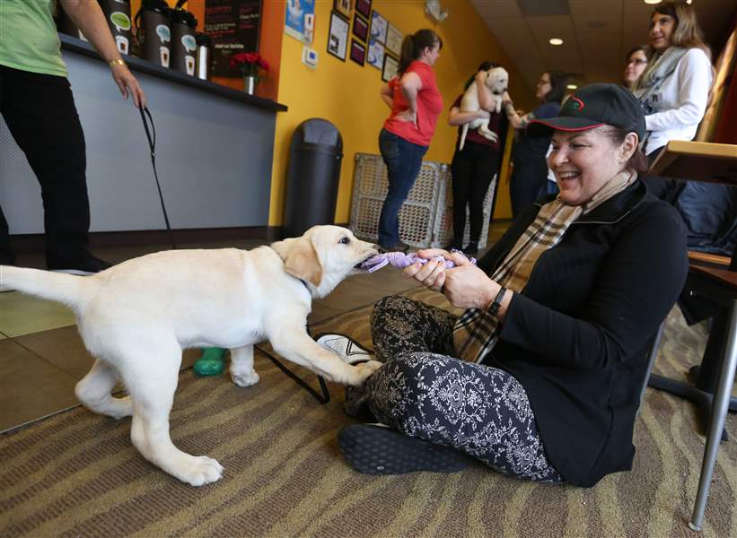 PHOTO GALLERY "Hug a Pup" The Blade