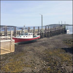 By low tide on the Bay of Fundy in New Brunswick, a boat can be sitting on dry land.
