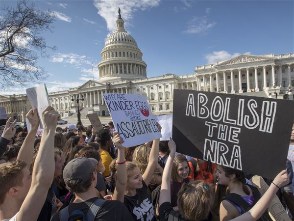 Students plan walkout across country protesting gun laws
