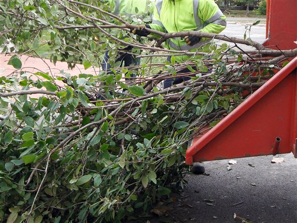 Bowling Green residents can arrange pickup for large items