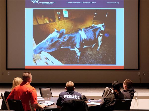Local law enforcement receives animal cruelty training