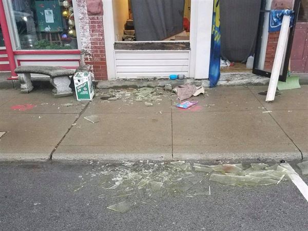 Deer freed after breaking into apartment