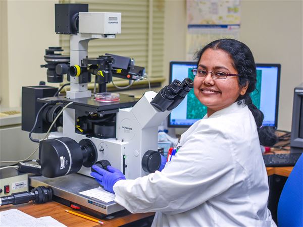 Researchers aim to block breast cancer metastasis