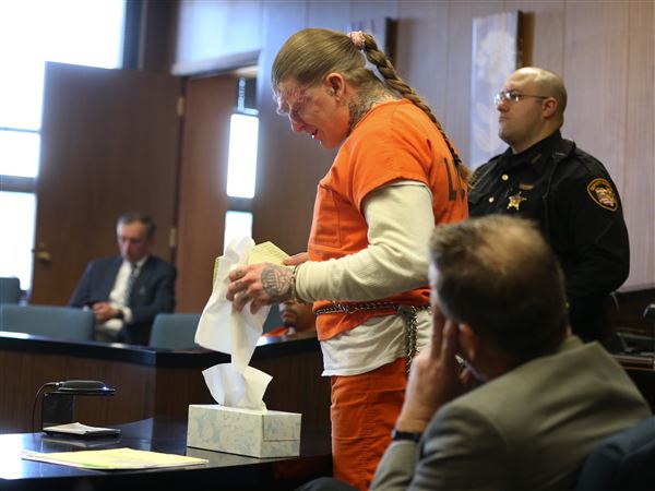 Toledoan given 26-year prison term for burglary spree