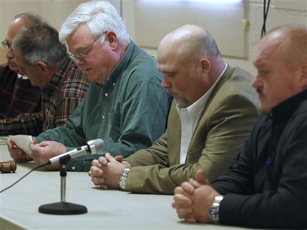 Jerusalem Twp. trustee enters race for GOP post