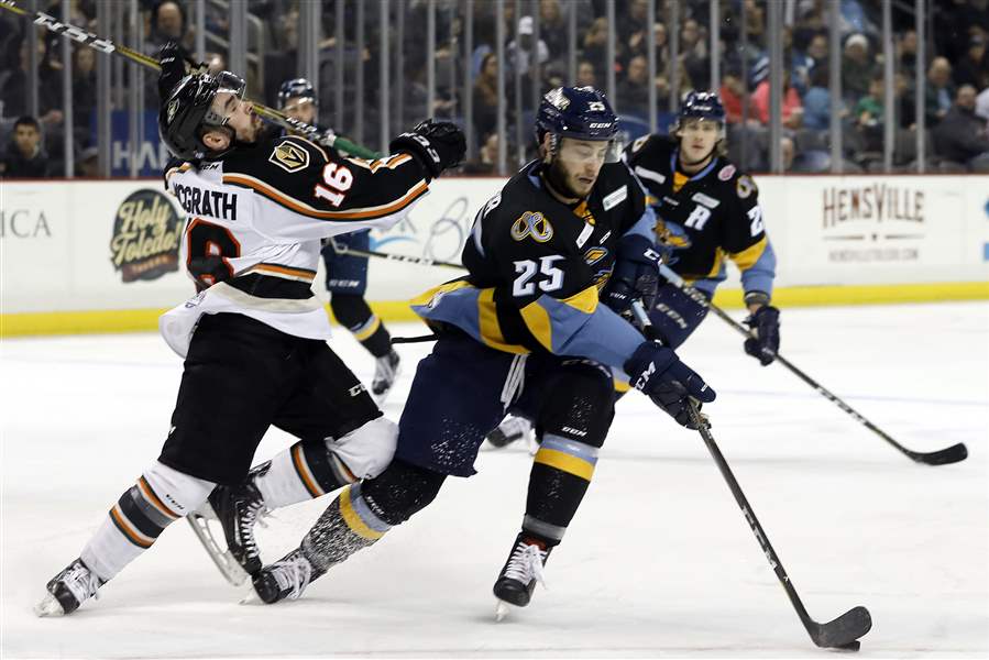 PHOTO GALLERY Toledo Walleye 8, Quad City Mallards 0 The Blade