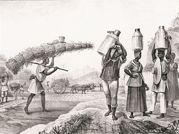 Michigan State University builds global slave trade paper trail