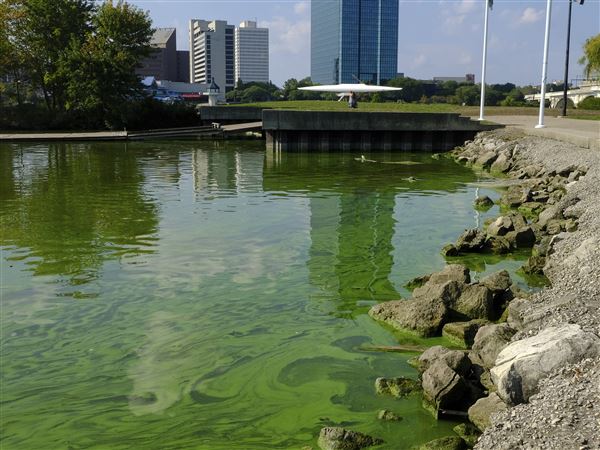 Lake Erie rescue plan needs teeth