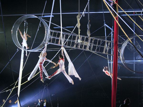 Zenobia Shrine Circus sets 8 performances