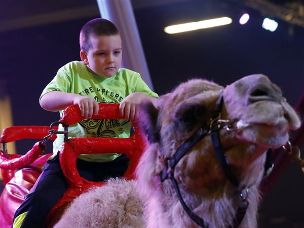 Zenobia Shrine Circus delights, entertains on opening night