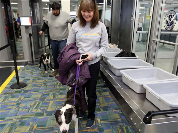 GALLERY: National Puppy Day