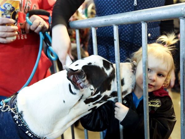 Monroe County offers dog license amnesty