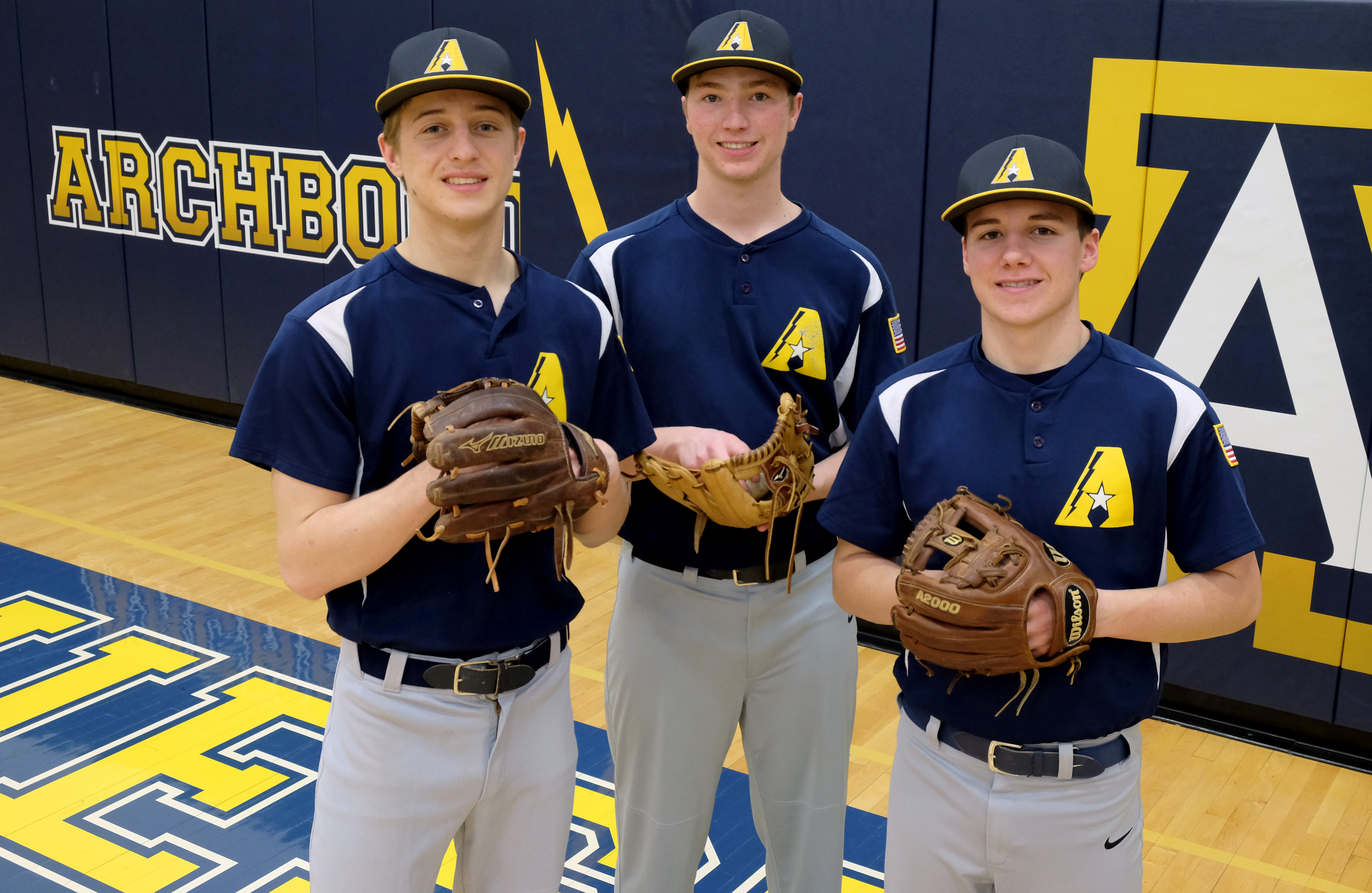 Archbold favored to repeat in NWOAL baseball The Blade